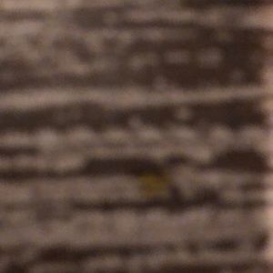 Meet your Posher, Devin